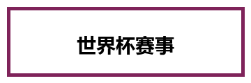 世界杯赛事